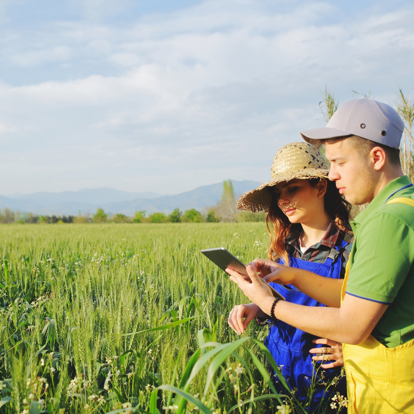 Two farmer standing in a field and looking at tablet