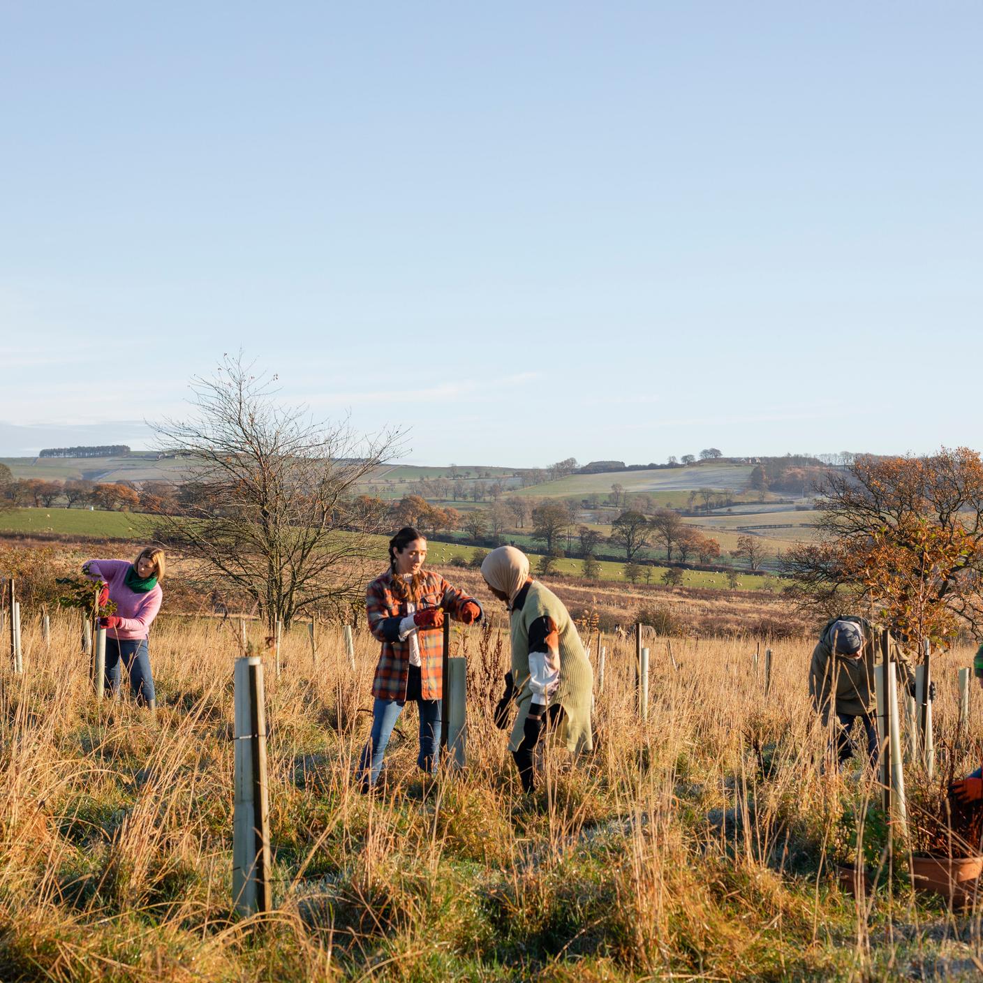 Nature Markets Community Engagement and Benefits