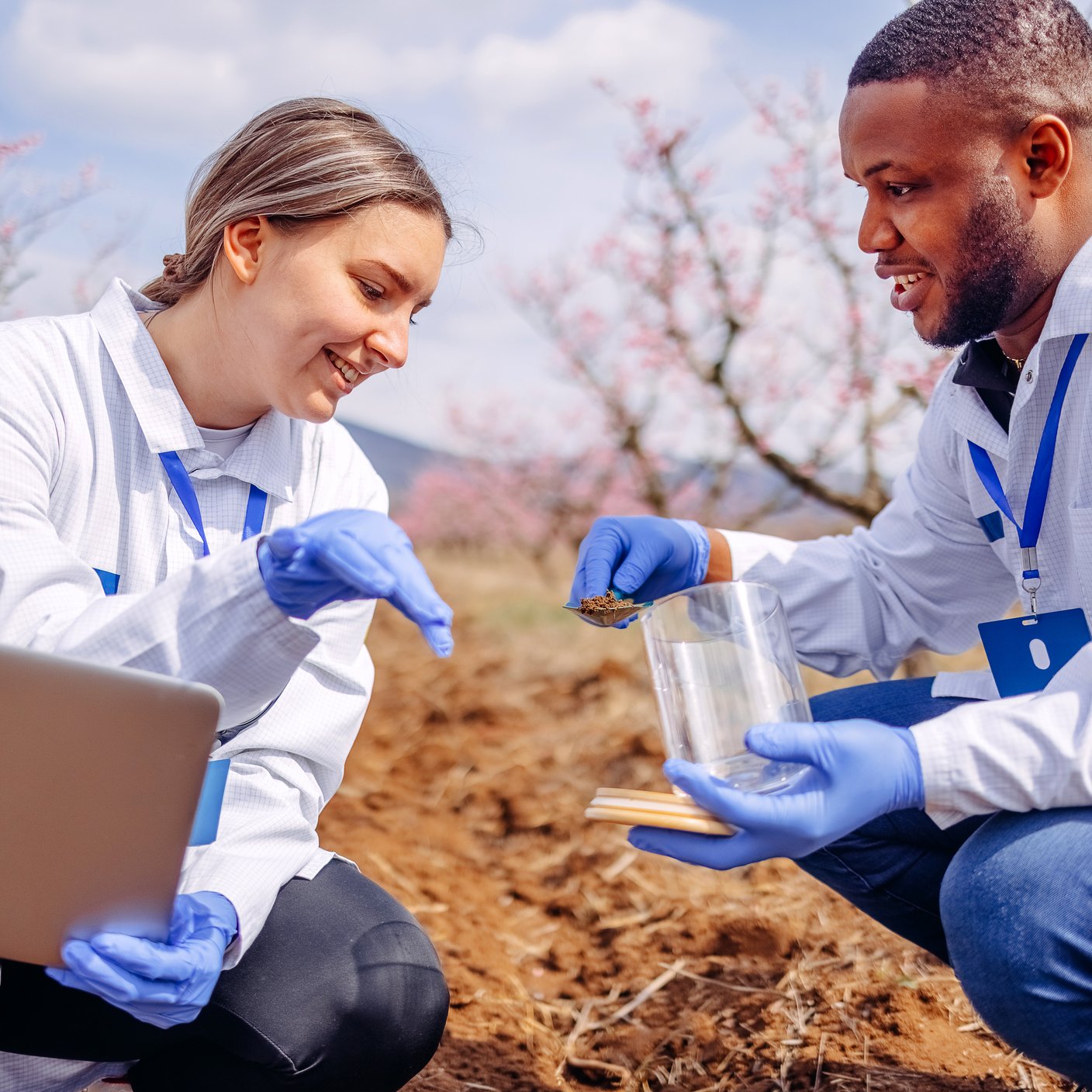 Colleagues checking progress status on crops outside in the spring. Taking soil samples.