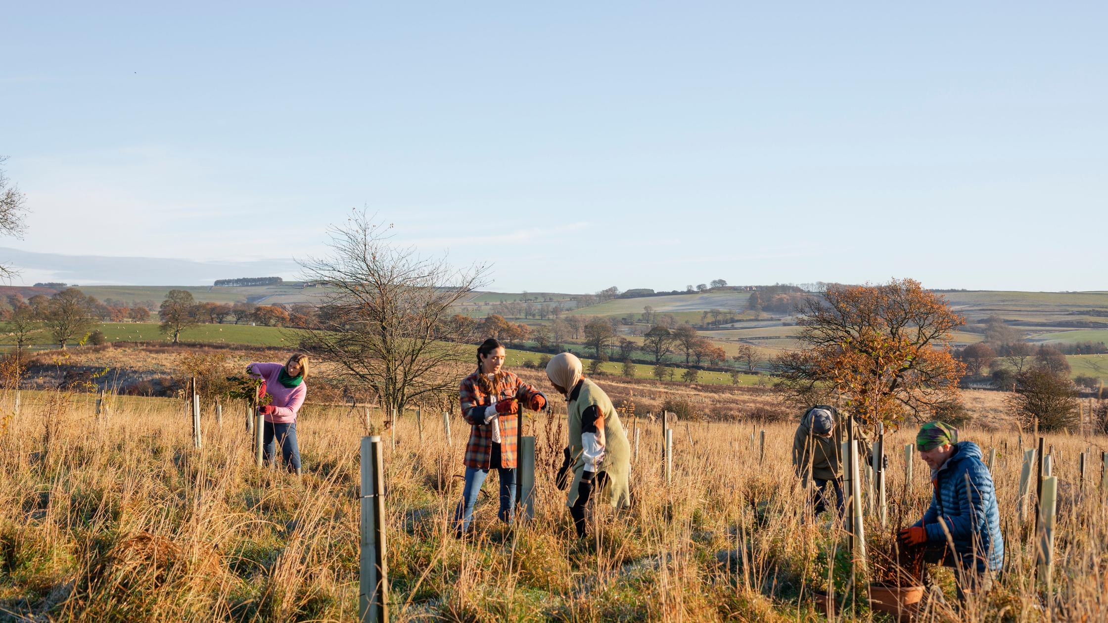 系統驗證 - 永續發展報告保證